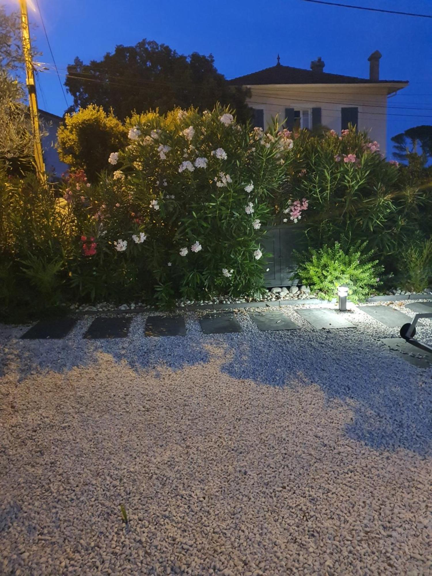 Villa Daniel Saint Aygulf Εξωτερικό φωτογραφία